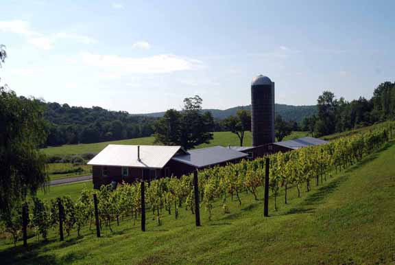 A vineyard and farm house in spring